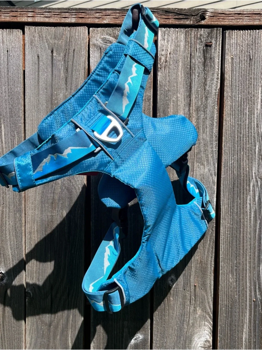 Lightweight teal outdoor Arcadia trail harness